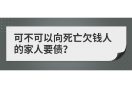 承德为什么选择专业追讨公司来处理您的债务纠纷？